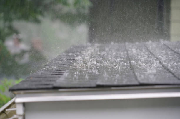 Best Gutter Installation and Repair  in Country Clu, FL