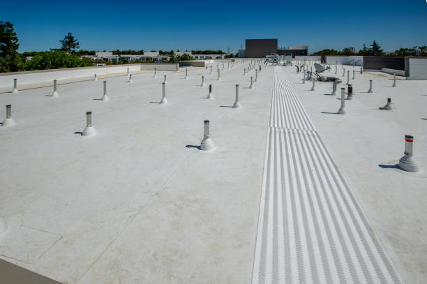 Best Green or Eco-Friendly Roofing Solutions  in Country Clu, FL